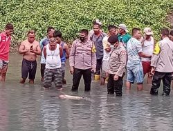 Heboh, Warga Temukan Mayat Terapung di Sungai Todowongi Halbar