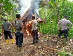 Polsek Taltimsel Bakar Rumah Produksi Miras di Taliabu