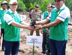 Harita Nickel dan Unkhair Ternate Menargetkan Tanam 39 Ribu Bibit Mangrove