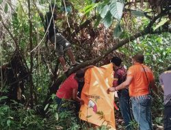 Seorang Pemuda di Halsel Ditemukan Tewas di Pohon Coklat