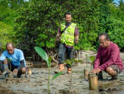 Konsistensi Harita Nickel Dalam Rehabilitasi Mangrove di Halsel