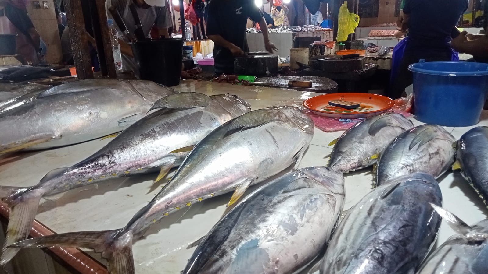 Jelang Ramadan harga ikan jenis Cakalang di Pasar Higienis Kota Ternate, Maluku Utara, mengalami penurunan yang signifikan.