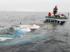 Kapal Kayu Milik Anggota DPRD Haltim Tenggelam, Seluruh Penumpang Selamat