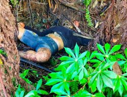 Pria Asal Tidore Ditemukan Tak Bernyawa di Jalan Raya Jailolo-Ibu