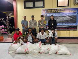 4 Pelaku dan 500 Kantong Plastik Berisi Miras Diamankan Polsek Jailolo Selatan