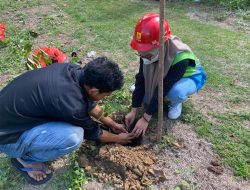 Wujudkan Green Energy, PLN Komitmen Lindungi Hutan di Halmahera Tengah