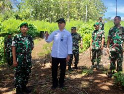 PLN dan PPAD Tinjau Kembali Progres Program Rehabilitasi Lahan Kritis dan Lahan Tidur di Masohi