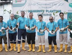 Weda Bay Project Memulai Penanaman 1 Juta Mangrove