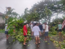 3 Warga di Ternate Tertimpa Pohon Saat Galang Dana