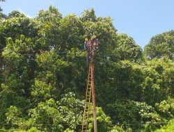 PLN ULP Bula Gerak Cepat Pulihkan Sistem Kelistrikan Akibat Pohon Tumbang di Dusun Niff