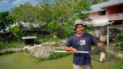 Cerita Nia dan Bambang, Petani Binaan Harita Nickel yang Sukses Jadi Pemasok Bahan Pangan