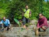 Konsistensi Harita Nickel Dalam Rehabilitasi Mangrove di Halsel