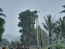 PLN UP3 Masohi Sigap Pulihkan Kelistrikan Daerah Terdampak Cuaca Ekstrem di Maluku Tengah