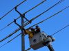 PLN UP3 Ambon Tangguh Hadapi Cuaca Ekstrem, Amankan Pasokan Listrik dengan Sigap