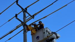 PLN UP3 Ambon Tangguh Hadapi Cuaca Ekstrem, Amankan Pasokan Listrik dengan Sigap